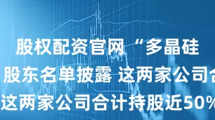 股权配资官网 “多晶硅平台公司”股东名单披露 这两家公司合计持股近50%