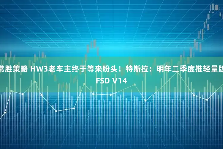 常胜策略 HW3老车主终于等来盼头！特斯拉：明年二季度推轻量版FSD V14